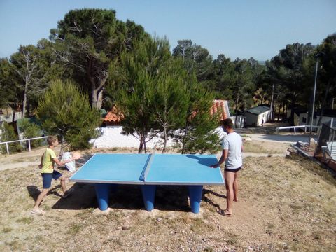 Camping Le Bois de Pins - Camping Pyrénées-Orientales - Image N°11